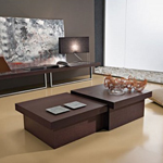Meubles de Salon