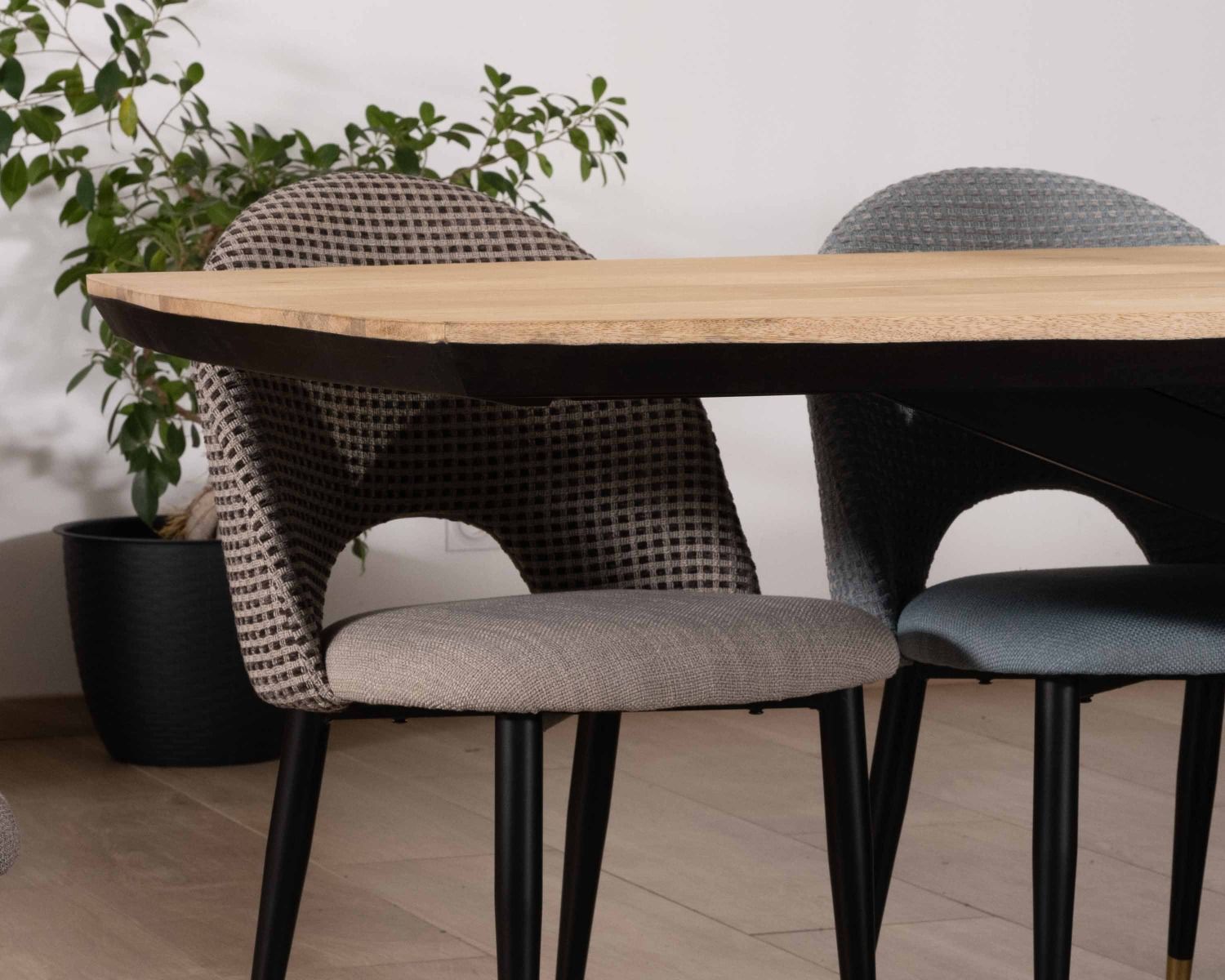 Grande table de repas 300cm manguier massif finition sablée bords biseautés noirs et pieds étoile "Pise"