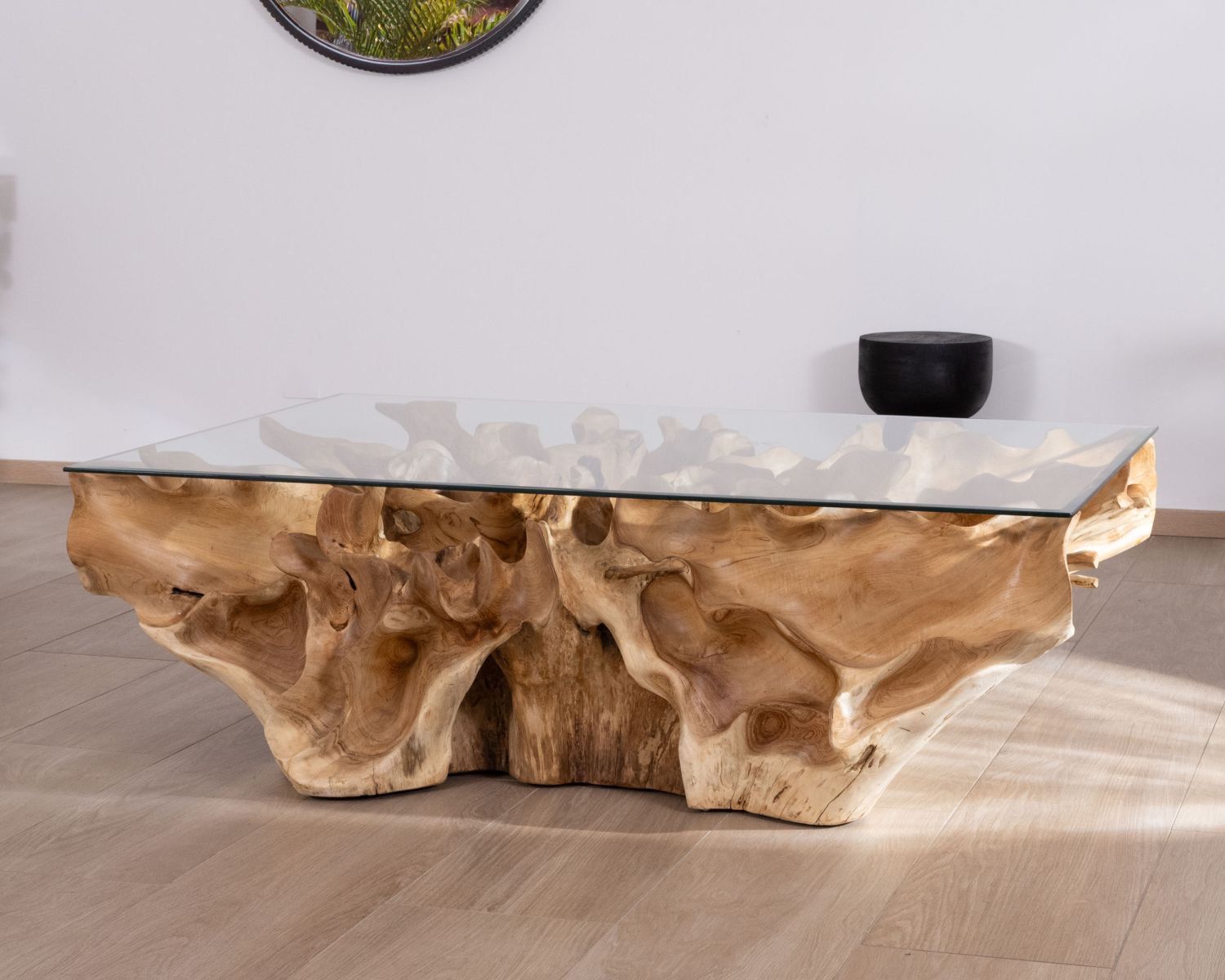 Table basse en racine de teck naturel avec plateau verre rectangulaire "Jungle"