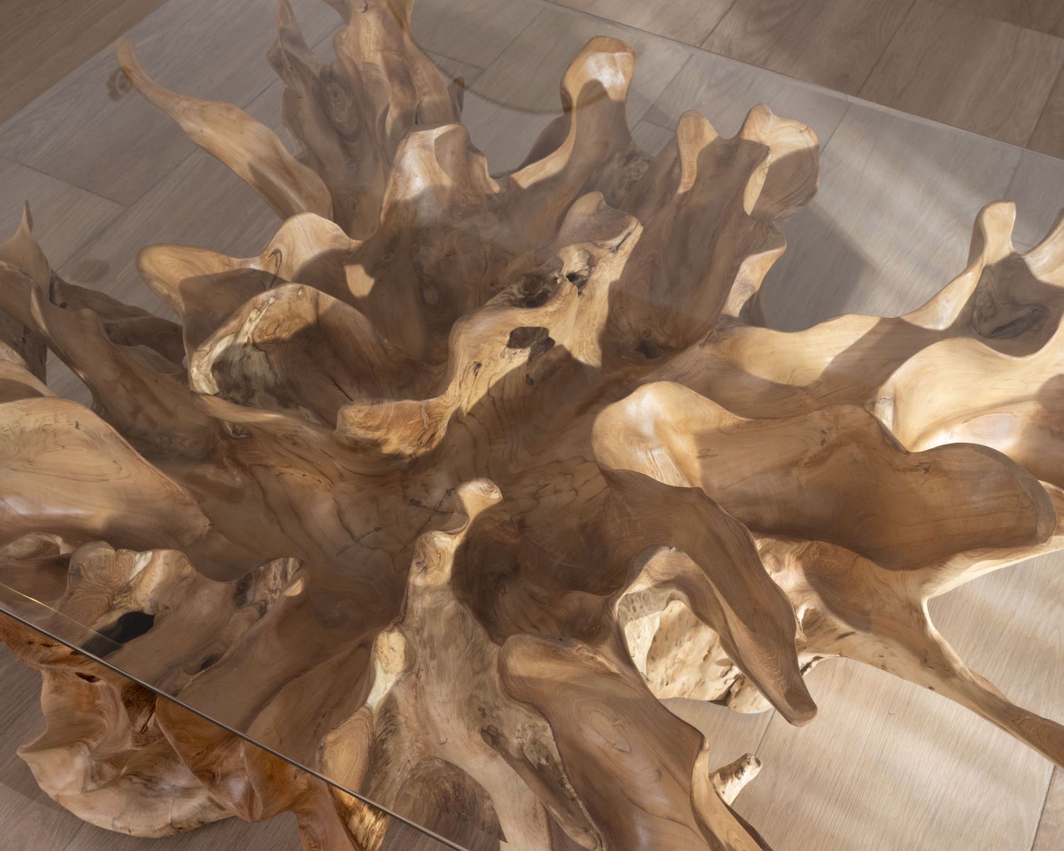 Table basse en racine de teck naturel avec plateau verre rectangulaire "Jungle"