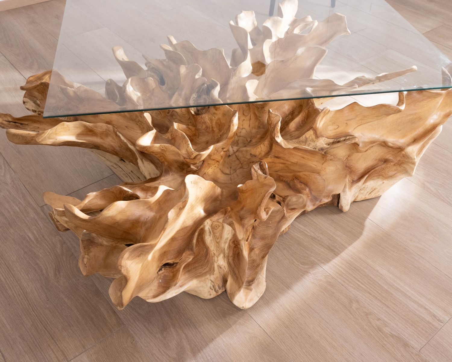 Table basse en racine de teck naturel avec plateau verre rectangulaire "Jungle"