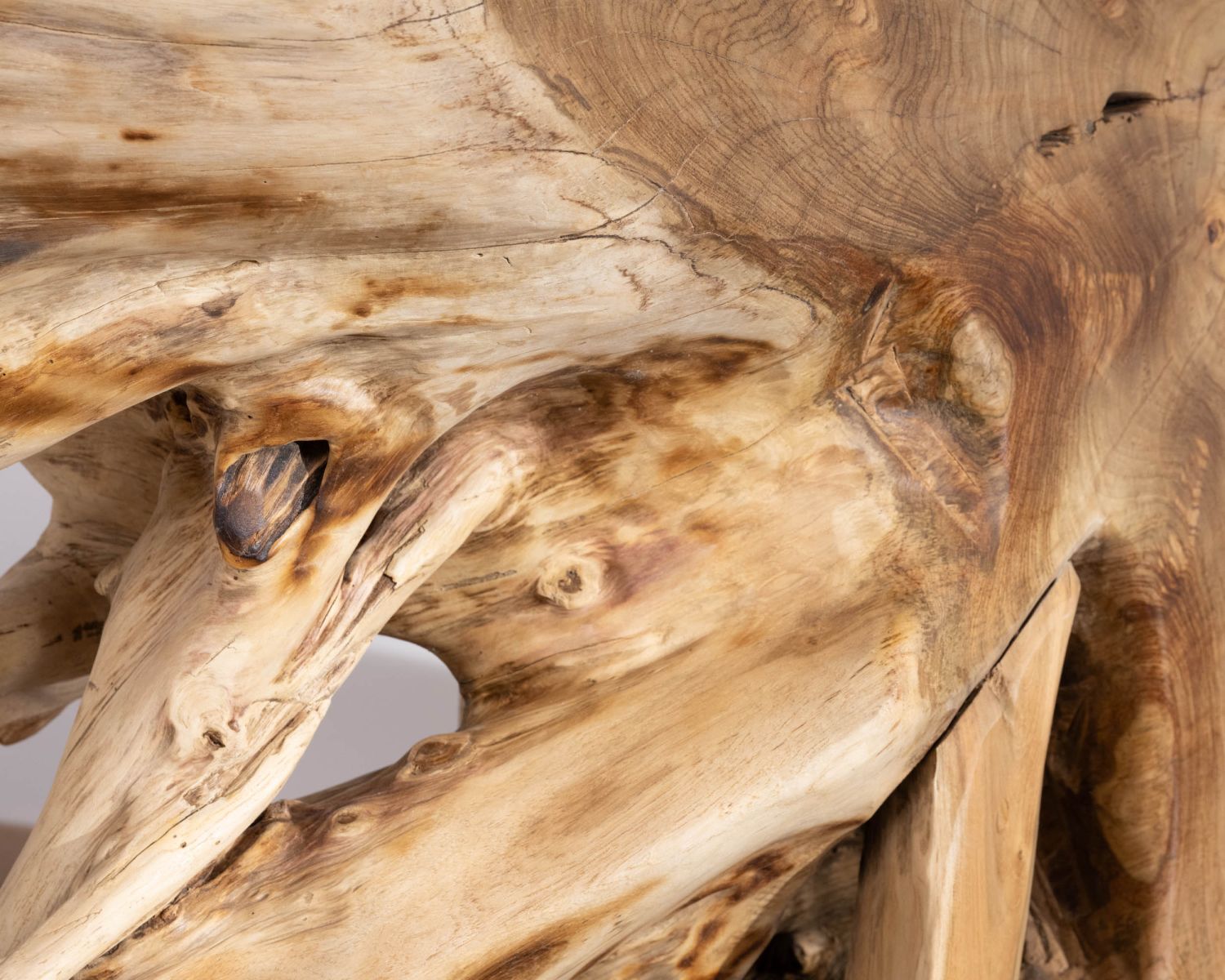 Console en racine de teck naturel avec plateau verre "Jungle"