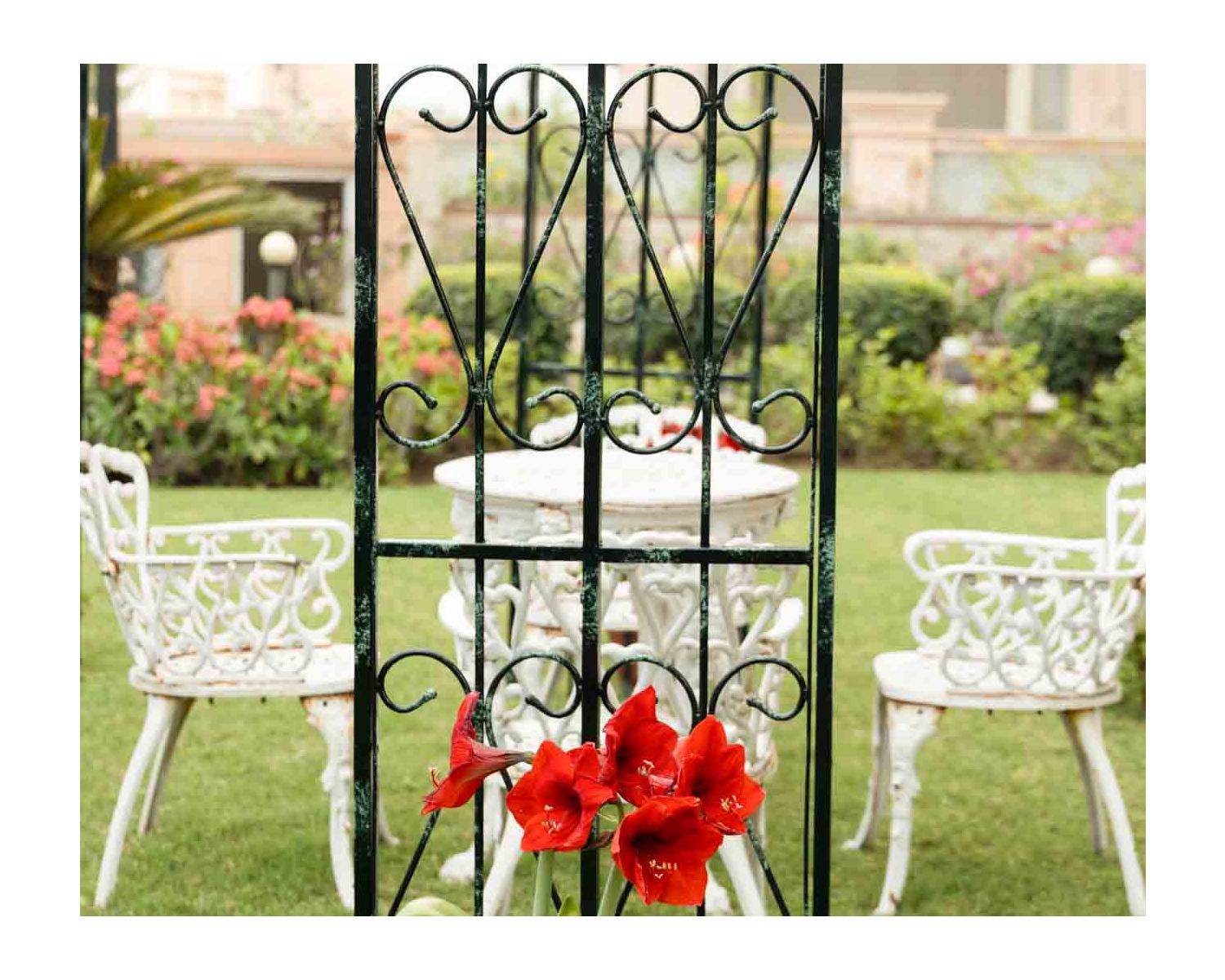 Gloriette carrée 3 x 3 m en acier aspect vieilli "Rosy"