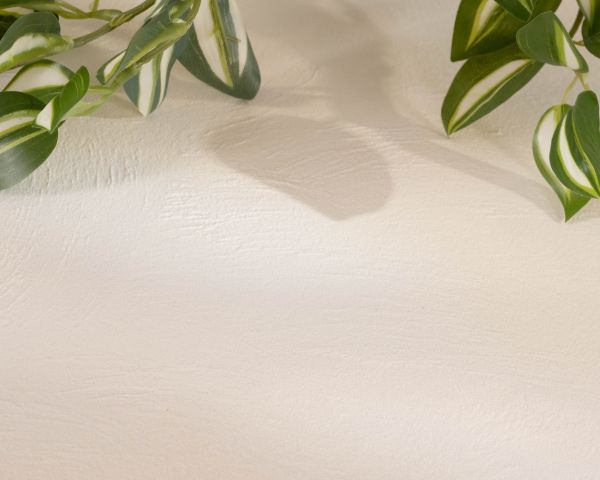 Table basse forme organique en micro-ciment teinté crème "Naura"
