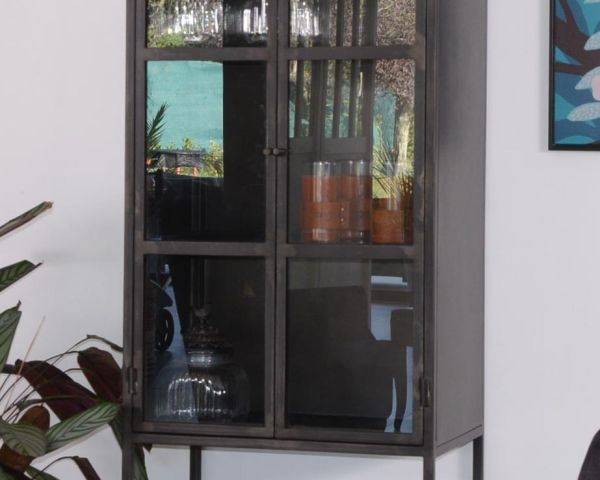 Vitrine design, porte avec vitres, étagères en verre, collection